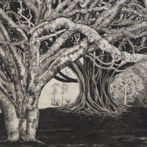 In Their Shade – RACHAEL&nbsp;NESS