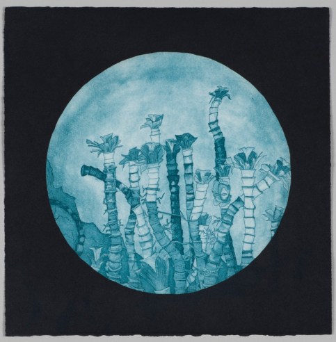 Nicole Macdonald Endlessly Searching, 2013, multi plate intaglio print, edition of 10, 33 x 33 cm