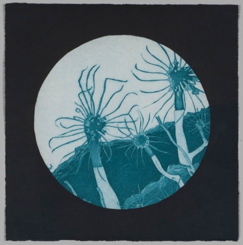 Nicole Macdonald Endlessly Searching II, 2013, multi plate intaglio print, edition of 10, 33 x 33 cm