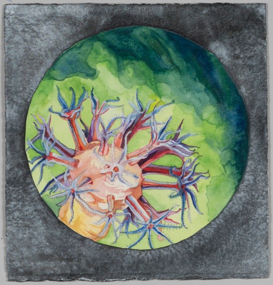 Nicole Macdonald Endless Midnight II, 2012, watercolour, 32 x 31 cm