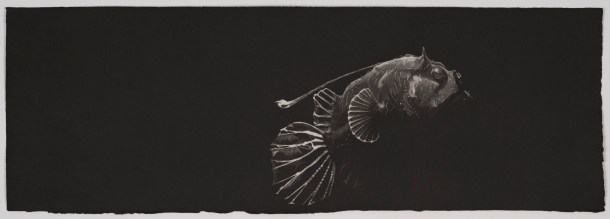 Nicole Macdonald Lurking #2, 2010, intaglio print, edition of 10, 36 x 86 cm