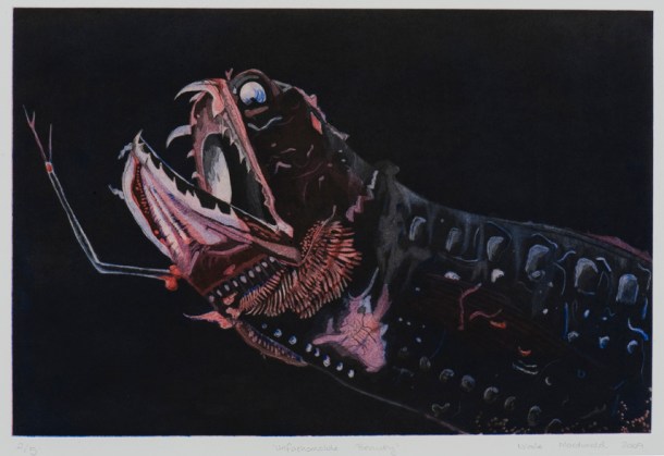 Nicole Macdonald Unfathomable Beauty, 2009, multi-plate intaglio print, edition of 5, 64 x 81 cm