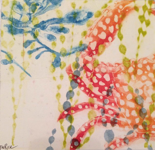 Trudy Rice, The Sublime Red Crab, 2015, solar plate etching, 15 x 15 cm