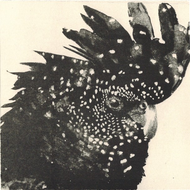 Kerrie Cleverdon, Black Cockatoo, 2015, lithograph, 15 x 15 cm