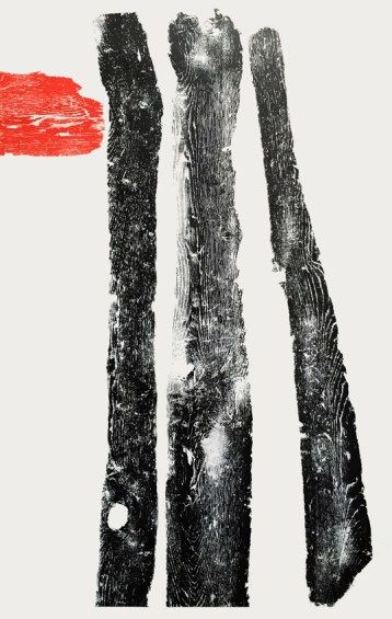 Carmel Wallace, Untitled, 1993, relief print from weathered timber from Discovery Bay, SW VIC, 120 x 80cm